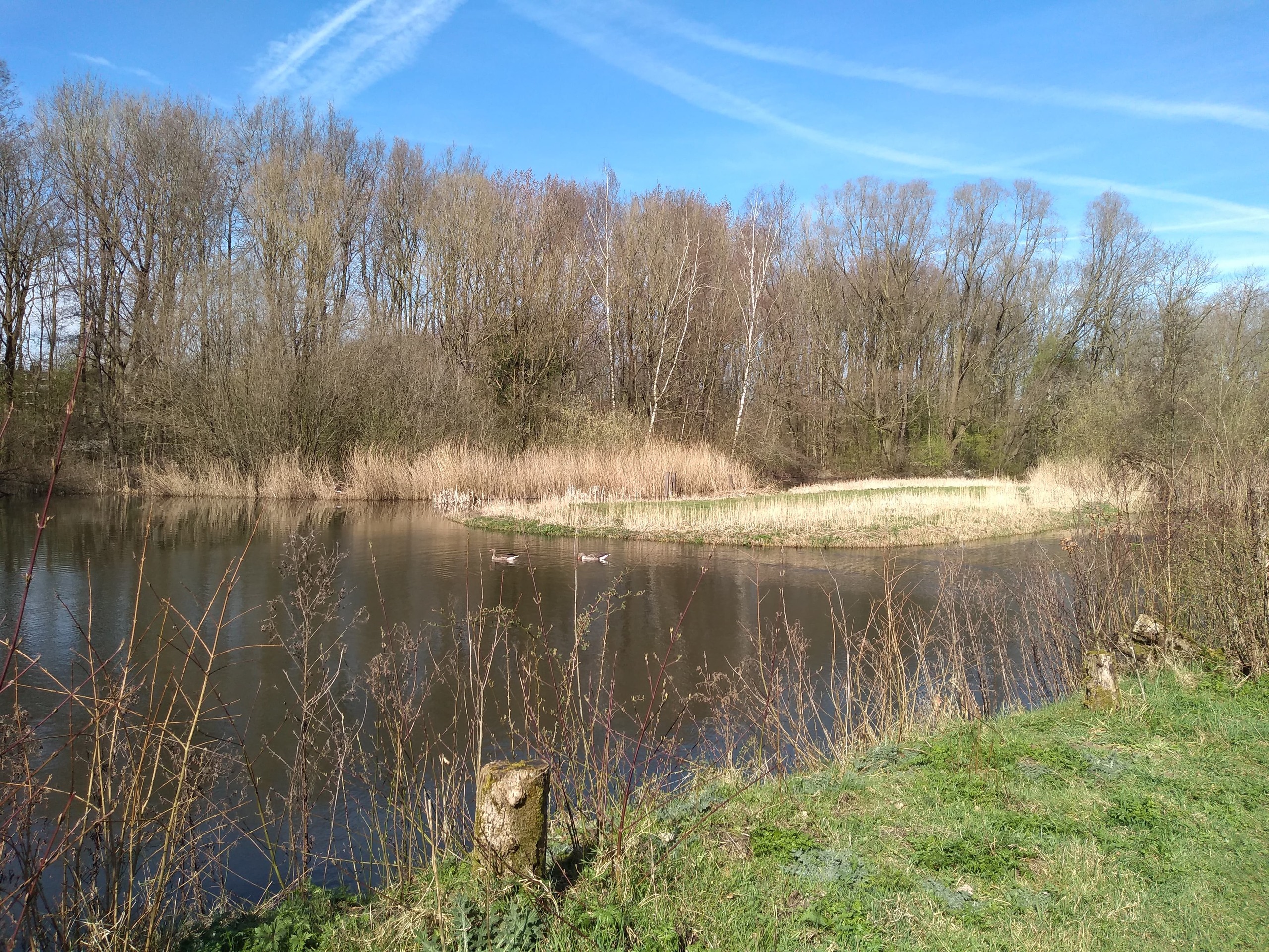 25.10.23 Foto bij Persbericht Informatiebijeenkomst natuurverbetering Randdijkse Bosjes