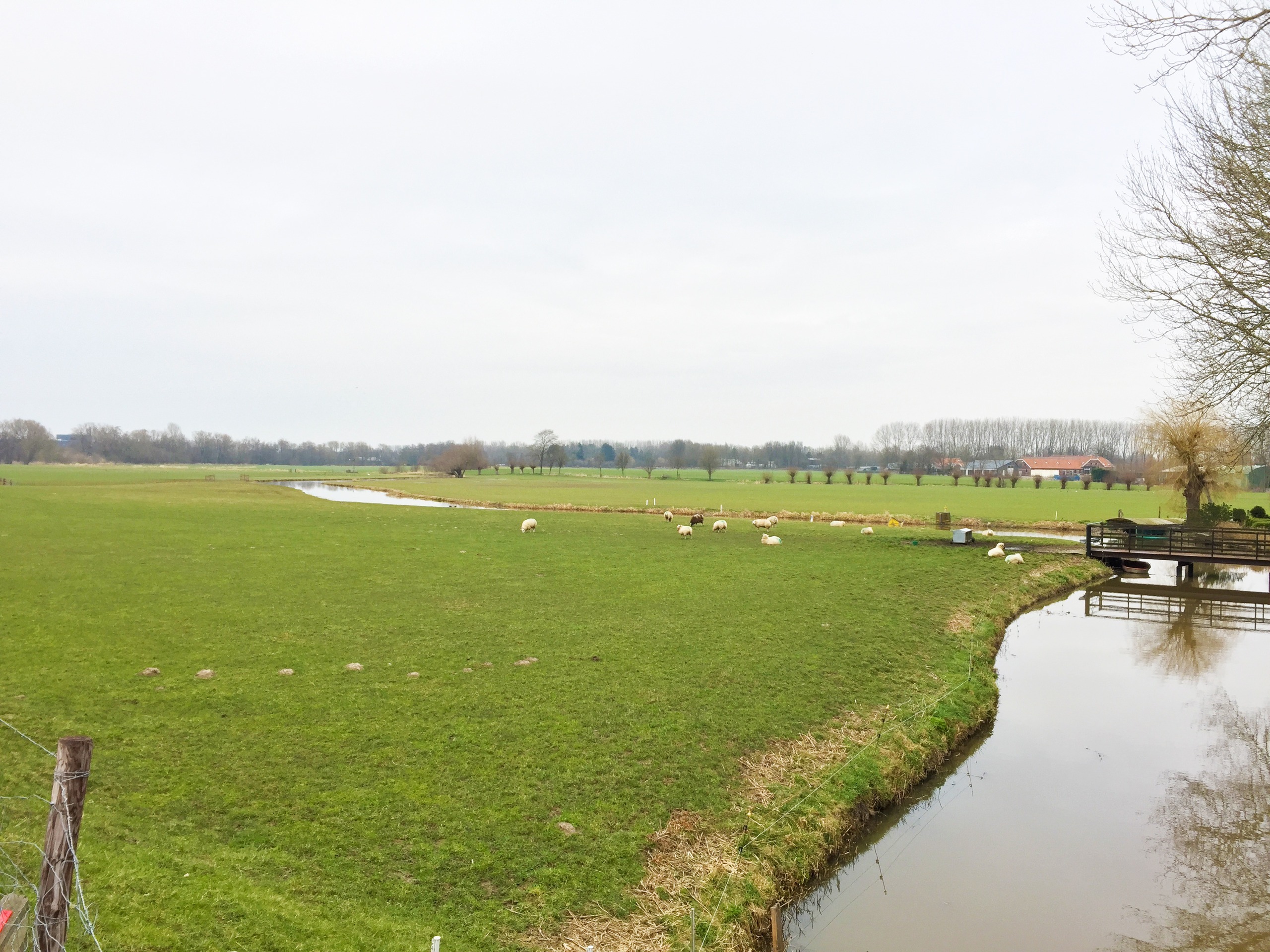 Kromme IJsselgebied